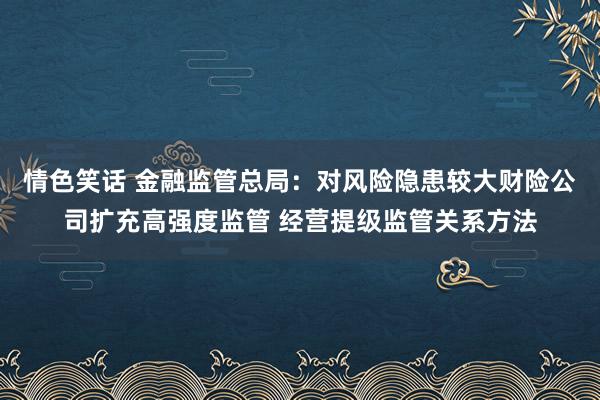 情色笑话 金融监管总局：对风险隐患较大财险公司扩充高强度监管 经营提级监管关系方法