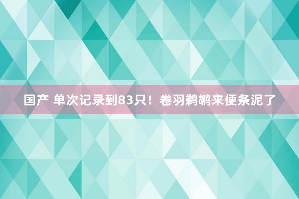 国产 单次记录到83只！卷羽鹈鹕来便条泥了