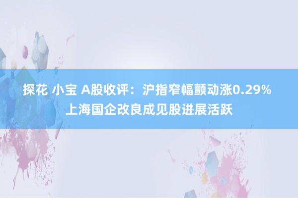 探花 小宝 A股收评：沪指窄幅颤动涨0.29% 上海国企改良成见股进展活跃