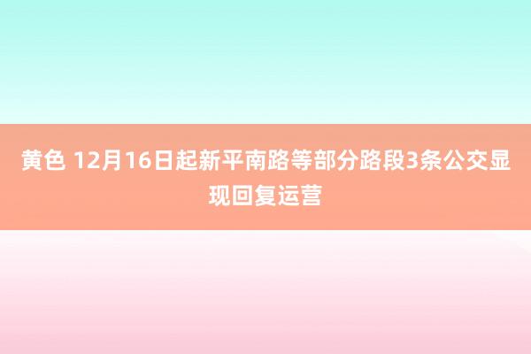 黄色 12月16日起新平南路等部分路段3条公交显现回复运营