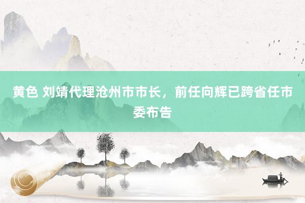 黄色 刘靖代理沧州市市长，前任向辉已跨省任市委布告