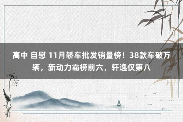 高中 自慰 11月轿车批发销量榜！38款车破万辆，新动力霸榜前六，轩逸仅第八