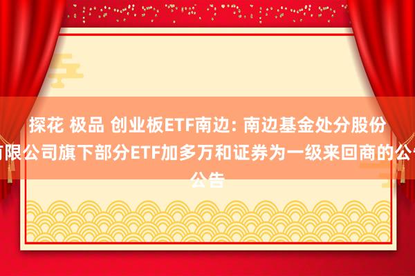 探花 极品 创业板ETF南边: 南边基金处分股份有限公司旗下部分ETF加多万和证券为一级来回商的公告