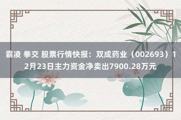 霸凌 拳交 股票行情快报：双成药业（002693）12月23日主力资金净卖出7900.28万元