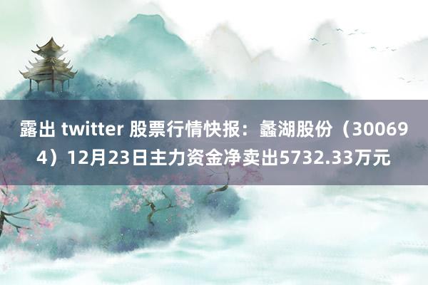 露出 twitter 股票行情快报：蠡湖股份（300694）12月23日主力资金净卖出5732.33万元