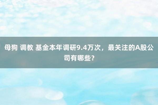 母狗 调教 基金本年调研9.4万次，最关注的A股公司有哪些？