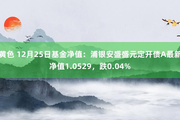 黄色 12月25日基金净值：浦银安盛盛元定开债A最新净值1.0529，跌0.04%