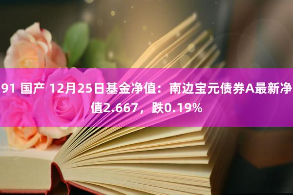 91 国产 12月25日基金净值：南边宝元债券A最新净值2.667，跌0.19%