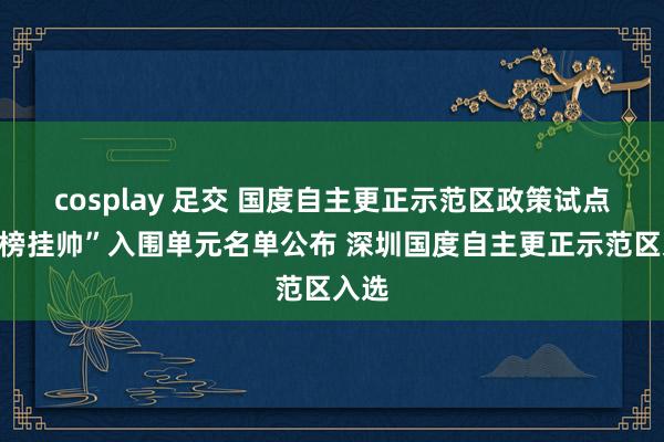 cosplay 足交 国度自主更正示范区政策试点“揭榜挂帅”入围单元名单公布 深圳国度自主更正示范区入选