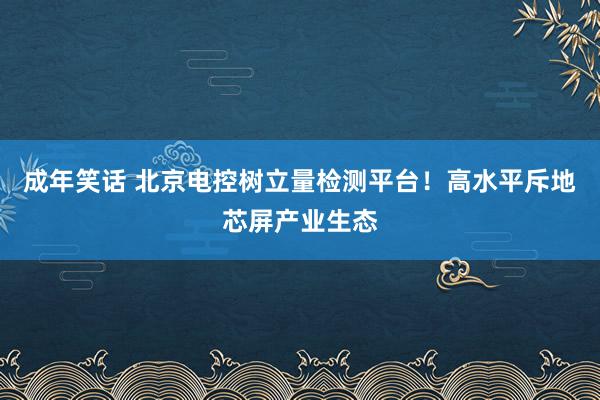 成年笑话 北京电控树立量检测平台！高水平斥地芯屏产业生态