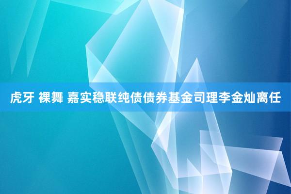 虎牙 裸舞 嘉实稳联纯债债券基金司理李金灿离任