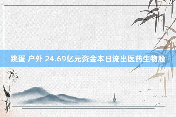 跳蛋 户外 24.69亿元资金本日流出医药生物股