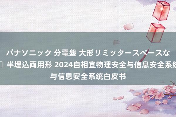 パナソニック 分電盤 大形リミッタースペースなし 露出・半埋込両用形 2024自相宜物理安全与信息安全系统白皮书