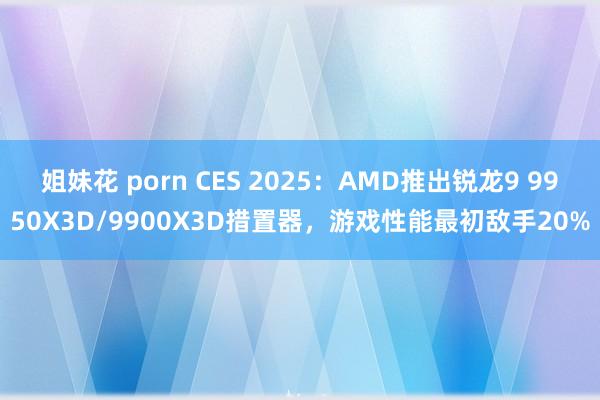 姐妹花 porn CES 2025：AMD推出锐龙9 9950X3D/9900X3D措置器，游戏性能最初敌手20%