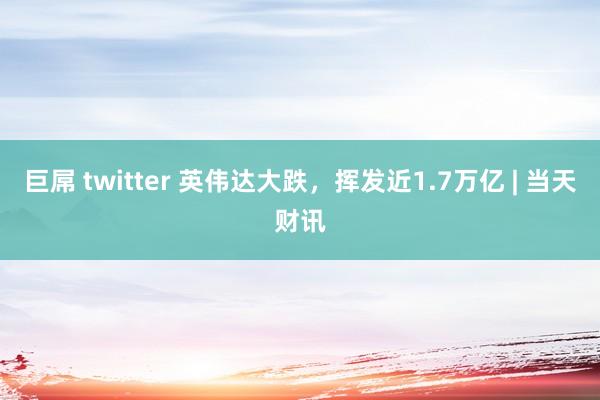 巨屌 twitter 英伟达大跌，挥发近1.7万亿 | 当天财讯