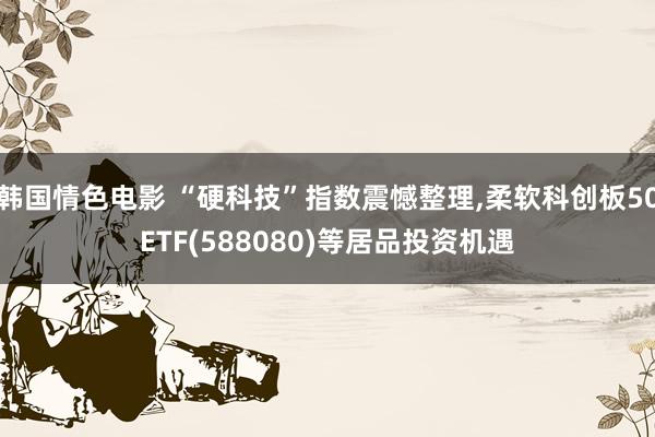 韩国情色电影 “硬科技”指数震憾整理，柔软科创板50ETF(588080)等居品投资机遇