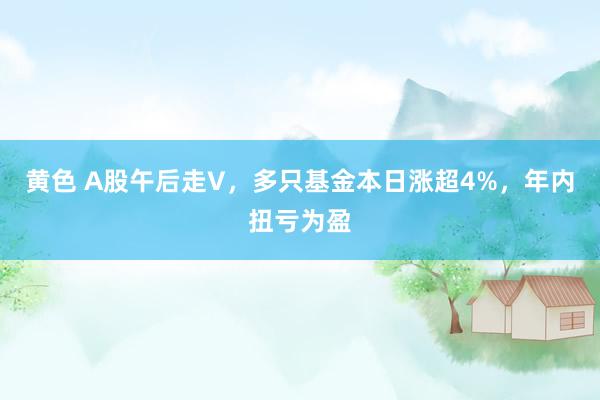 黄色 A股午后走V，多只基金本日涨超4%，年内扭亏为盈