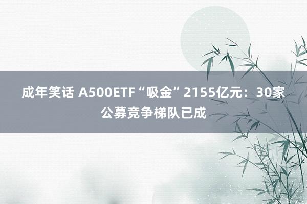 成年笑话 A500ETF“吸金”2155亿元：30家公募竞争梯队已成