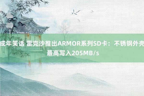 成年笑话 雷克沙推出ARMOR系列SD卡：不锈钢外壳 最高写入205MB/s