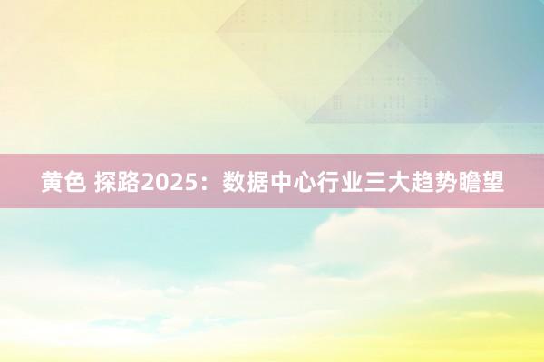 黄色 探路2025：数据中心行业三大趋势瞻望