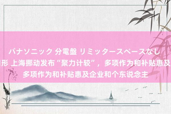 パナソニック 分電盤 リミッタースペースなし 露出・半埋込両用形 上海挪动发布“聚力计较”，多项作为和补贴惠及企业和个东说念主